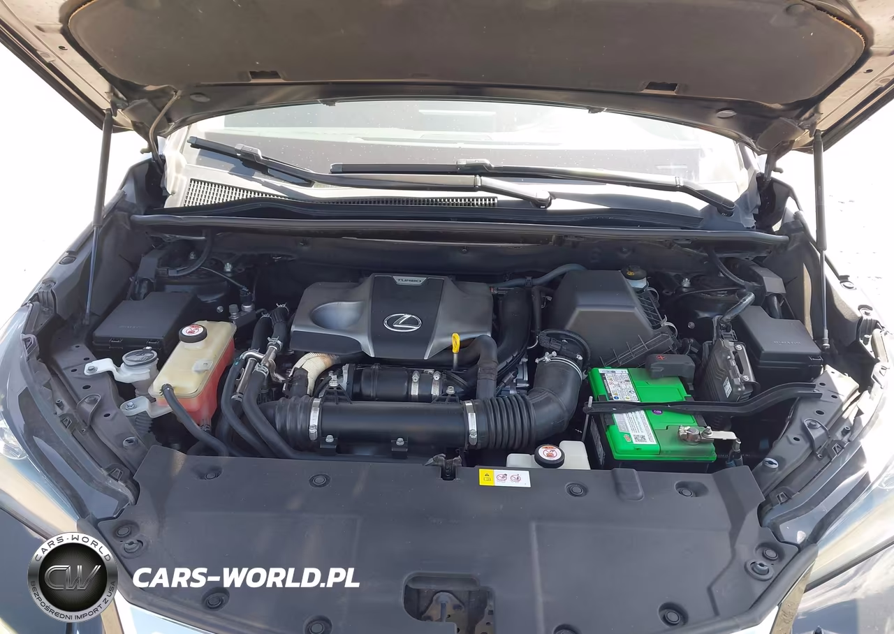 2017 Lexus Nx 200T VIN:JTJYARBZ2H2069897 - 10