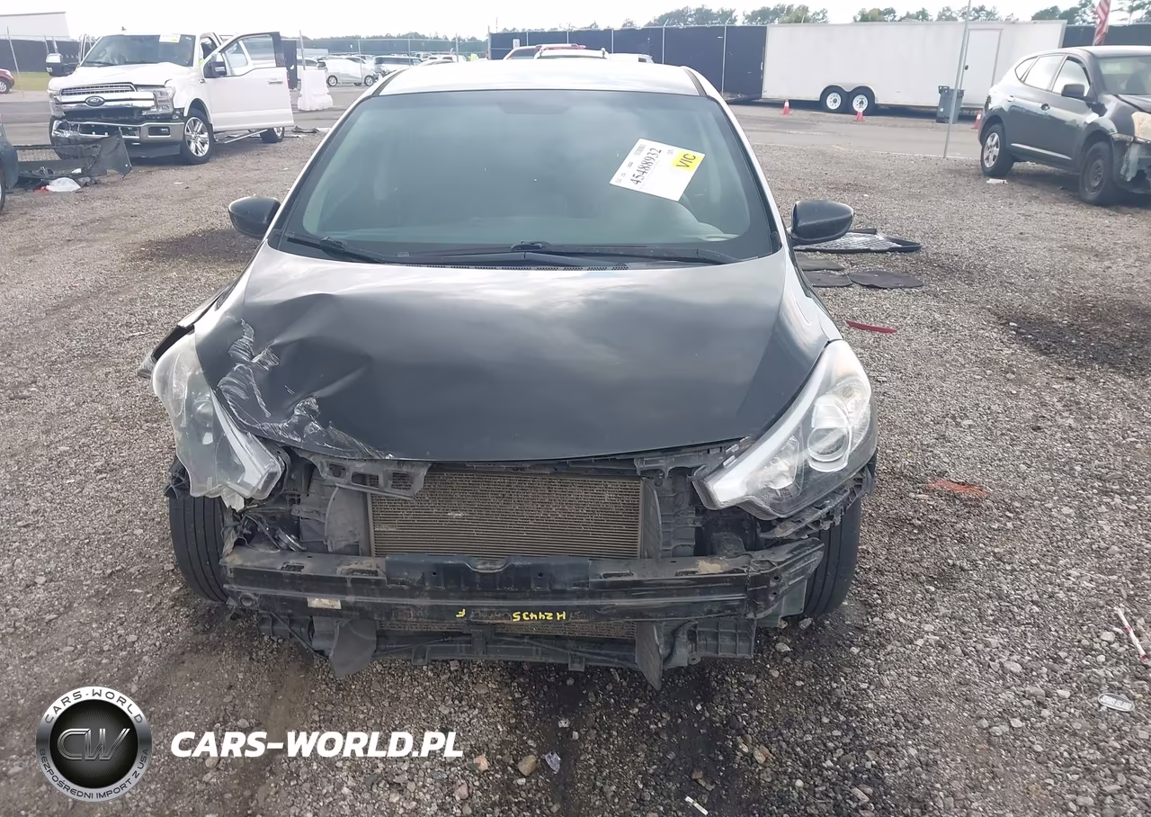 2016 Kia Forte Lx VIN:KNAFK4A6XG5496546 - 13