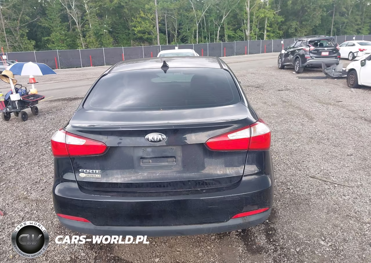 2016 Kia Forte Lx VIN:KNAFK4A6XG5496546 - 17