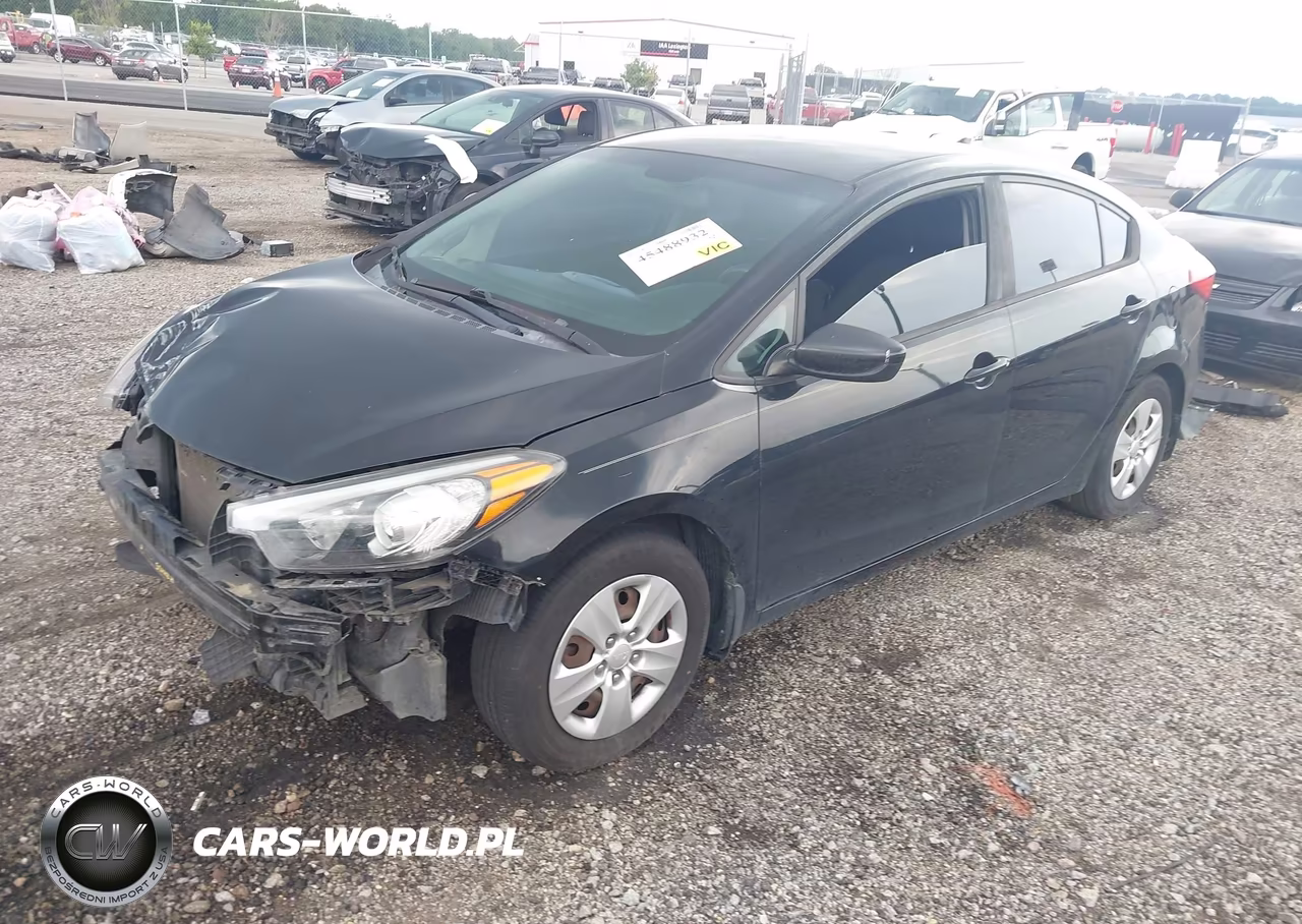 2016 Kia Forte Lx VIN:KNAFK4A6XG5496546 - 2