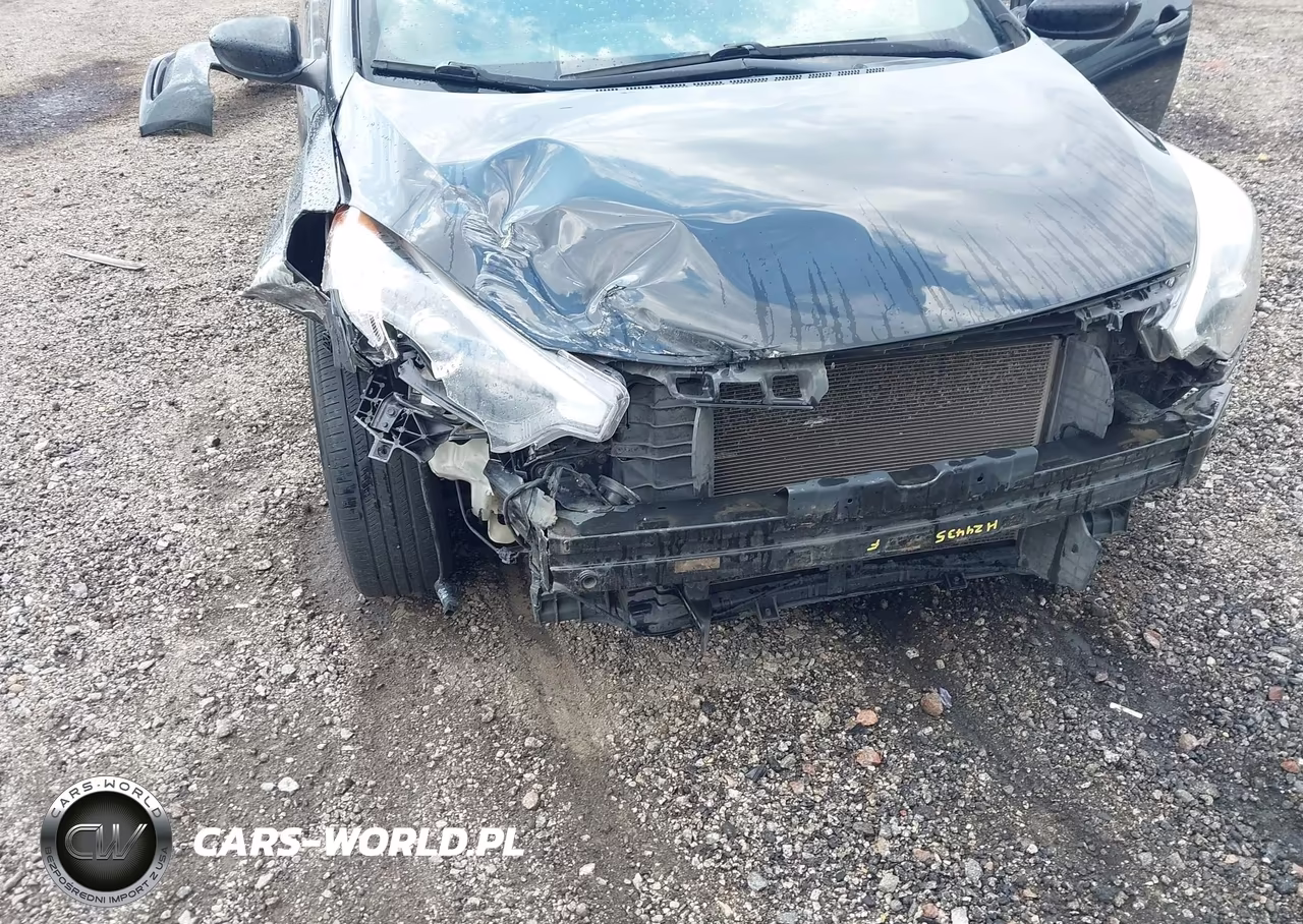 2016 Kia Forte Lx VIN:KNAFK4A6XG5496546 - 6