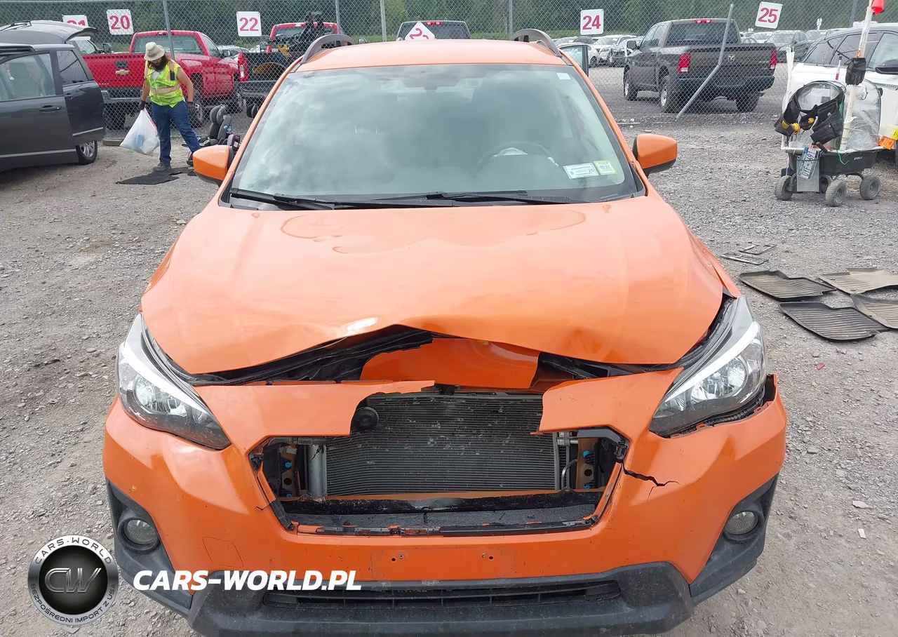 2019 Subaru Crosstrek 2.0I Premium VIN:JF2GTAEC6KH396133 - 12