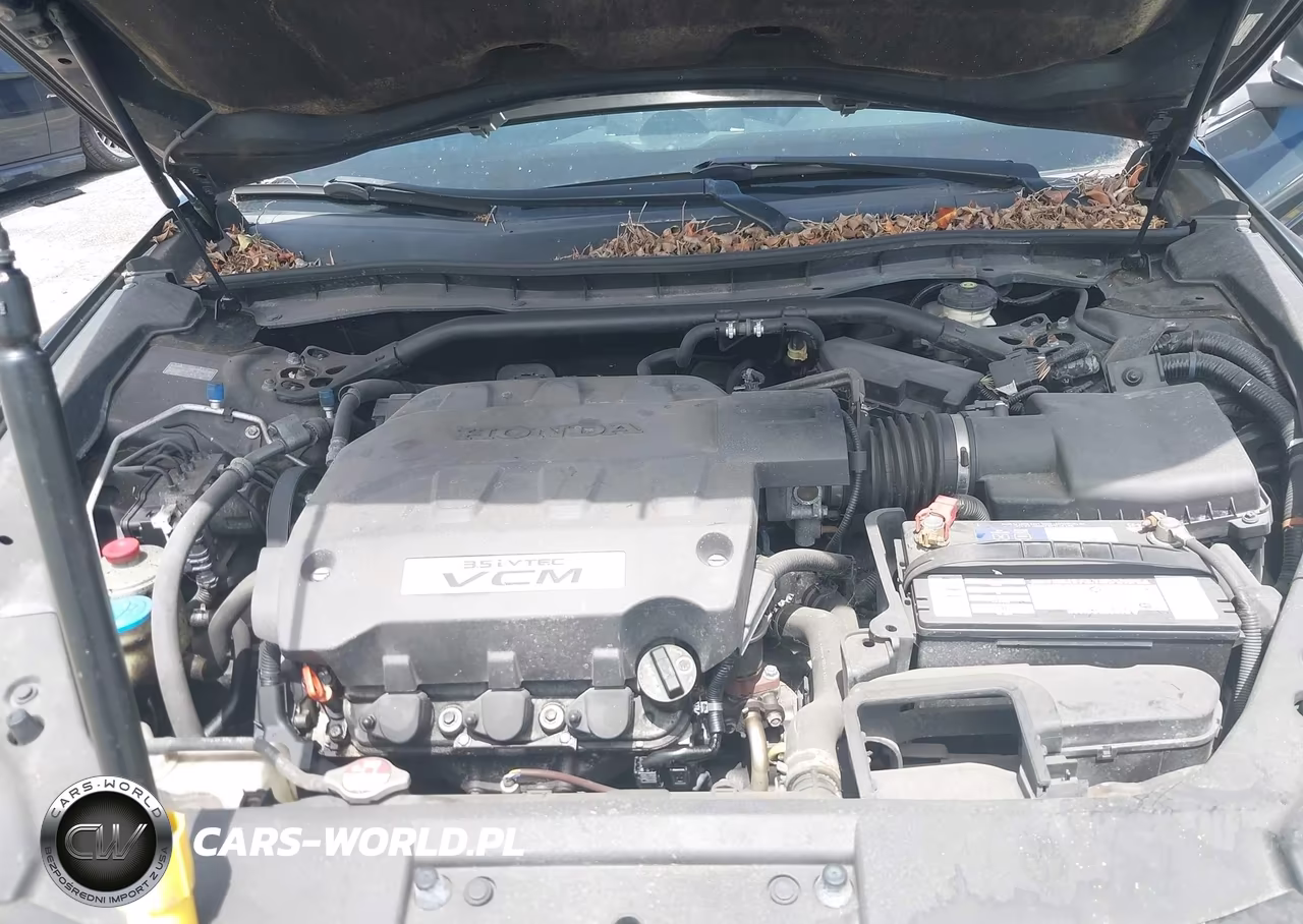 2011 Honda Accord Crosstour Ex-L VIN:5J6TF1H51BL001364 - 10