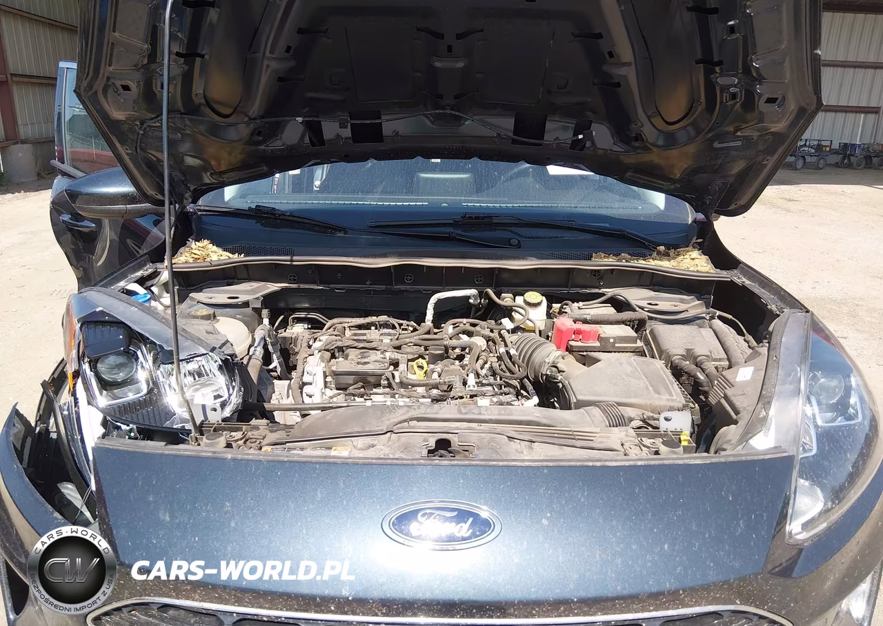 2022 Ford Escape Sel VIN:1FMCU9H64NUA39667 - 10