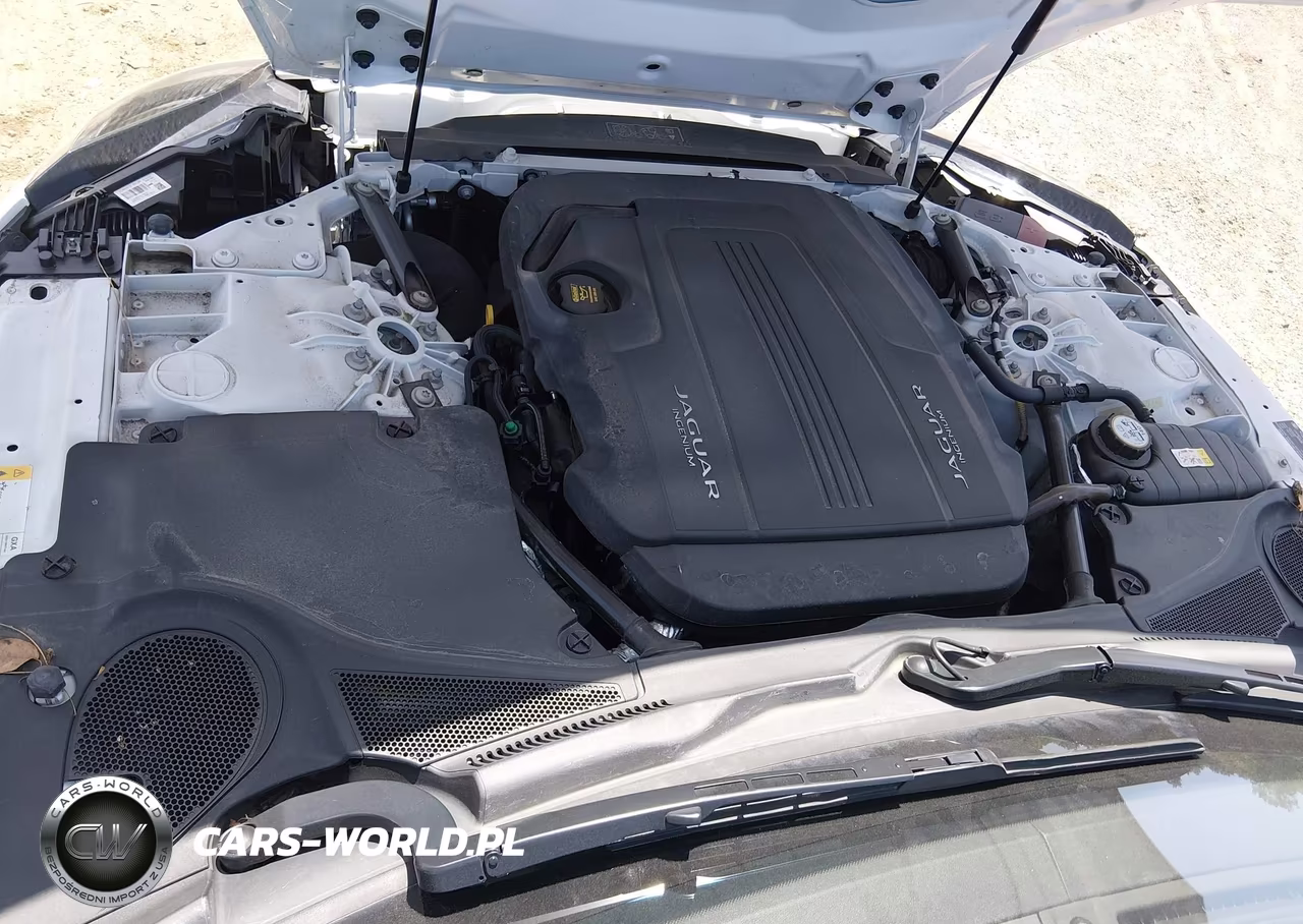 2019 Jaguar F-Type P300 VIN:SAJDD5GX7KCK62980 - 10