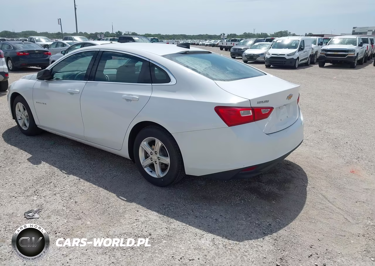 2021 Chevrolet Malibu Fwd 1Fl VIN:1G1ZC5ST5MF002373 - 3