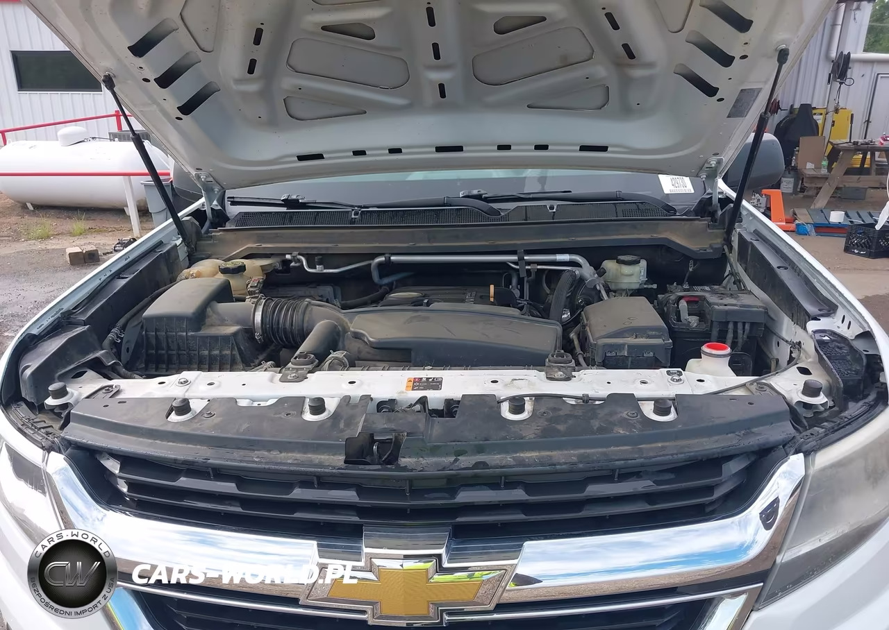 2015 Chevrolet Colorado 4Wd Wt VIN:1GCHTAEA5F1227804 - 10
