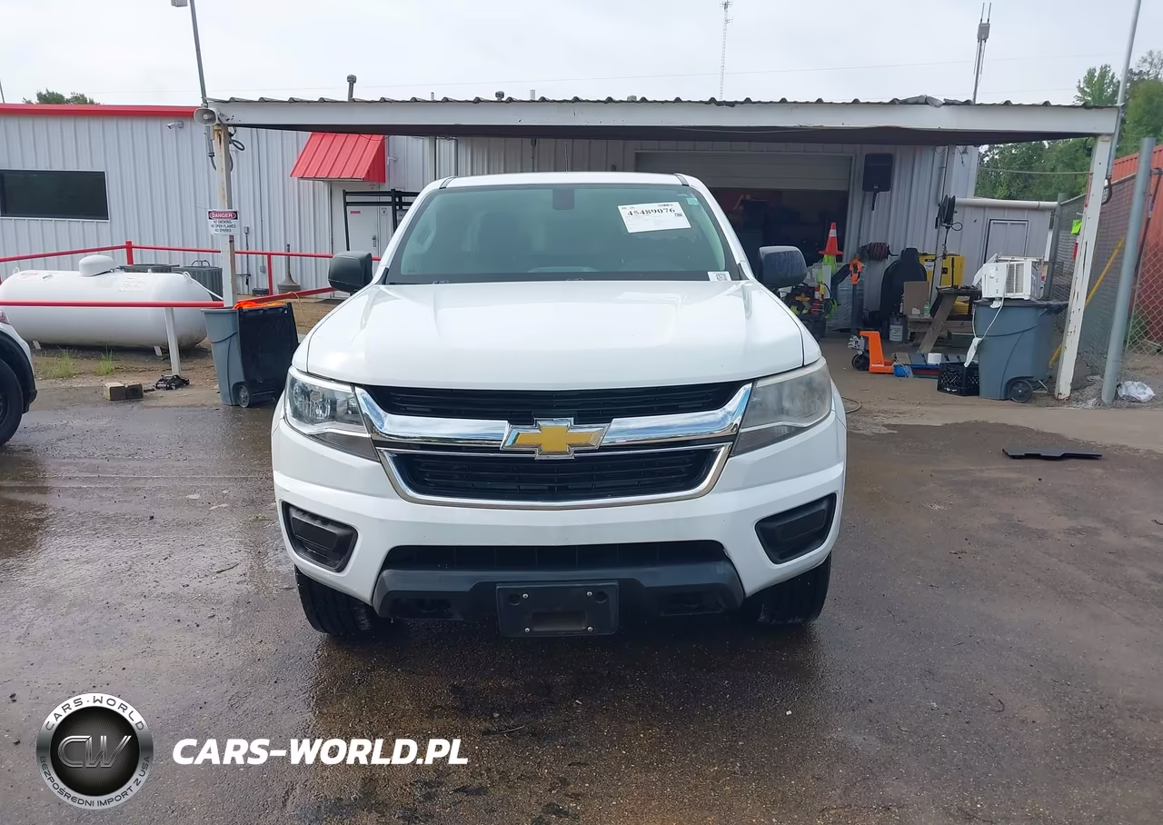 2015 Chevrolet Colorado 4Wd Wt VIN:1GCHTAEA5F1227804 - 17