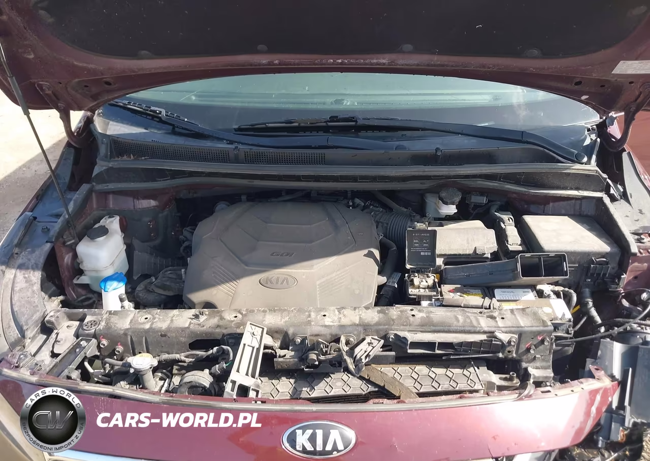 2019 Kia Sedona Ex VIN:KNDMB5C13K6541816 - 9