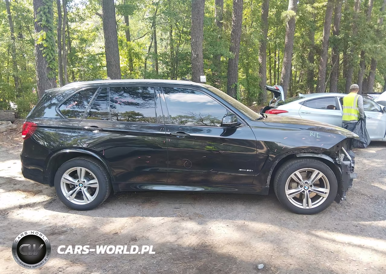 2016 BMW X5 xDrive50I VIN:5UXKR6C57G0J79719 - 13