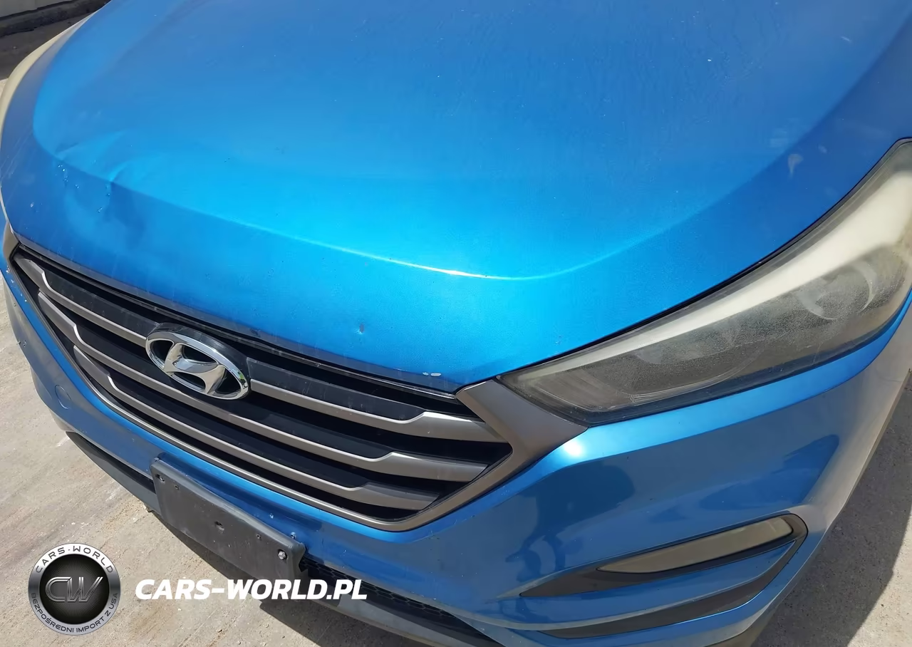 2016 Hyundai Tucson Se VIN:KM8J33A46GU071684 - 6