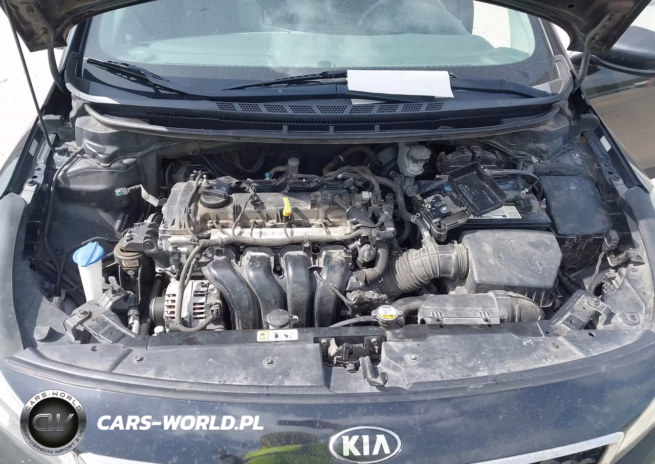2017 Kia Forte Lx VIN:3KPFK4A73HE039594 - 10