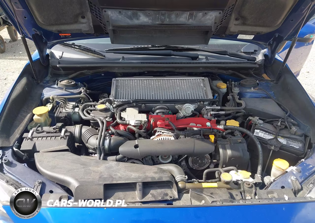 2020 Subaru Wrx Sti VIN:JF1VA2E67L9818696 - 10