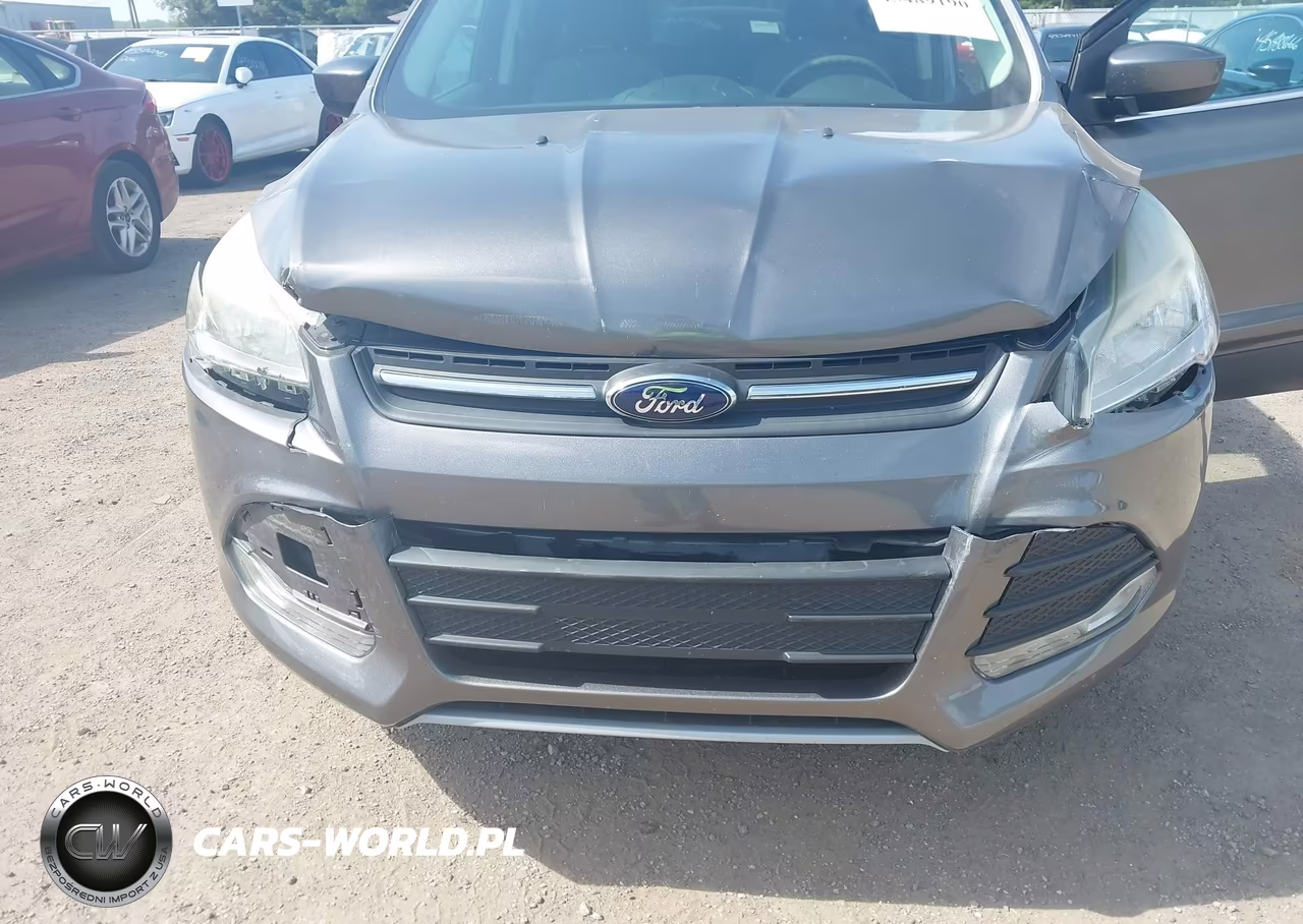 2014 Ford Escape Se VIN:1FMCU0GX0EUA69349 - 6