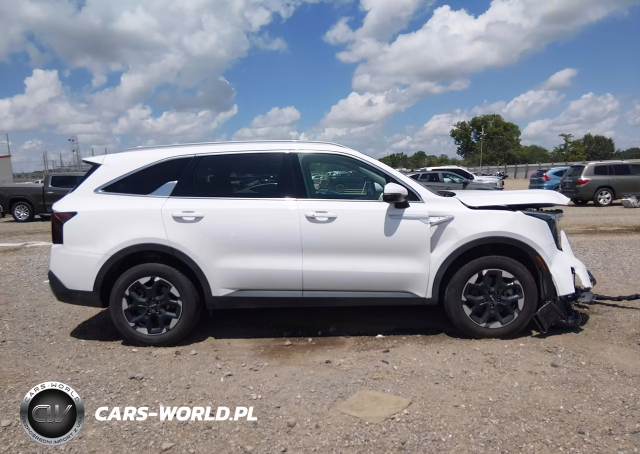 2024 Kia Sorento S VIN:5XYRLDJC3RG253884 - 14