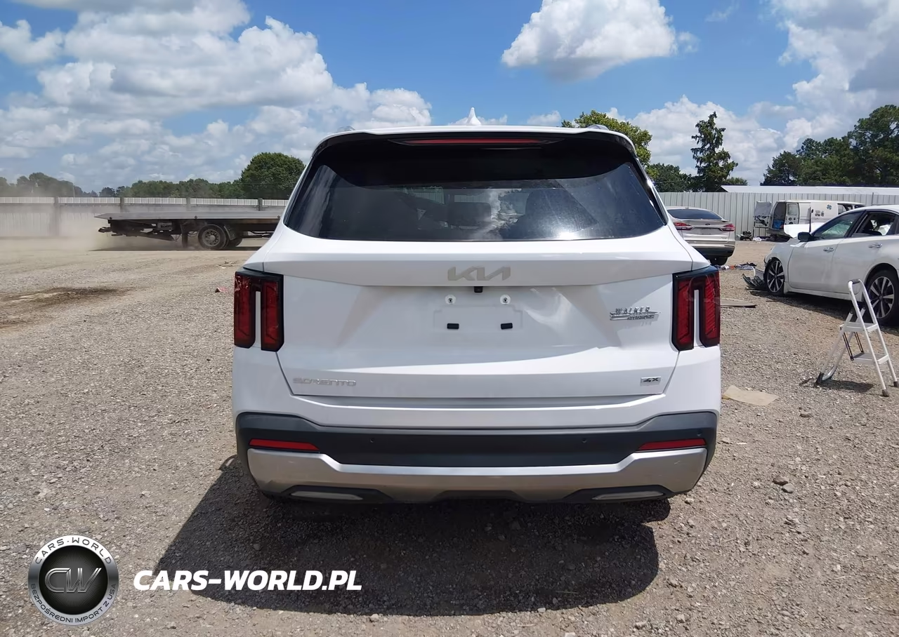 2024 Kia Sorento S VIN:5XYRLDJC3RG253884 - 17