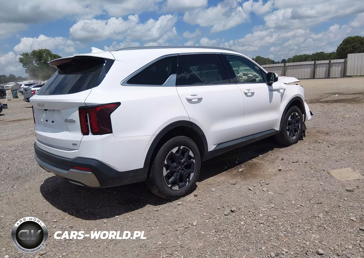 2024 Kia Sorento S VIN:5XYRLDJC3RG253884 - 4