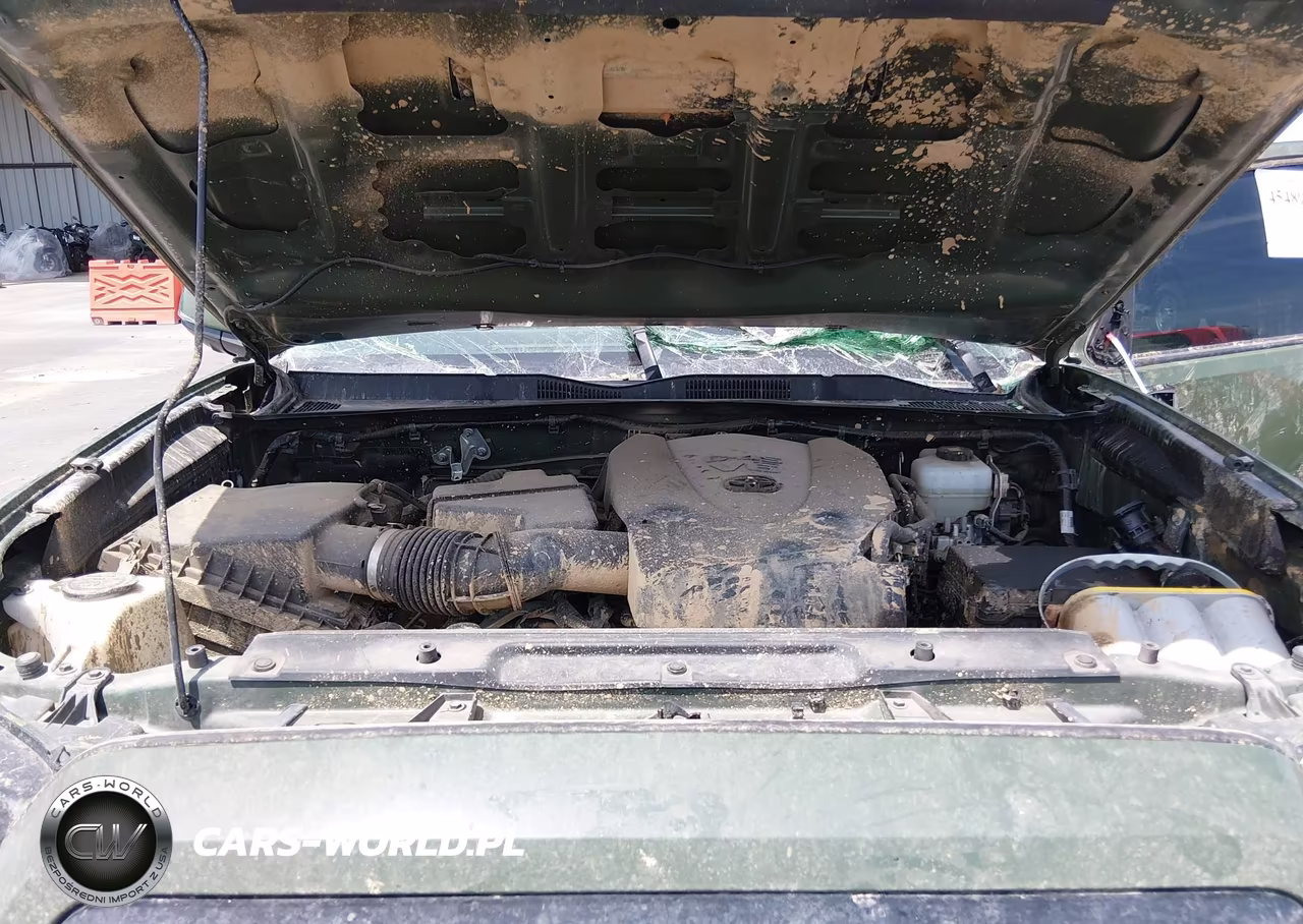 2020 Toyota Tacoma Trd Pro VIN:5TFCZ5AN5LX225133 - 10