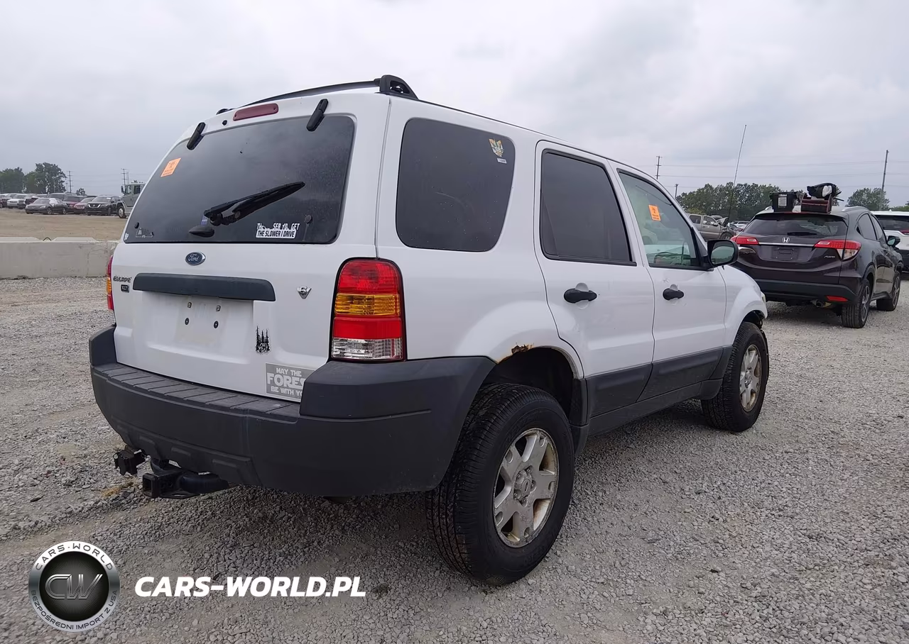 2006 Ford Escape Xlt-Xlt Sport VIN:1FMCU93116KB33675 - 4
