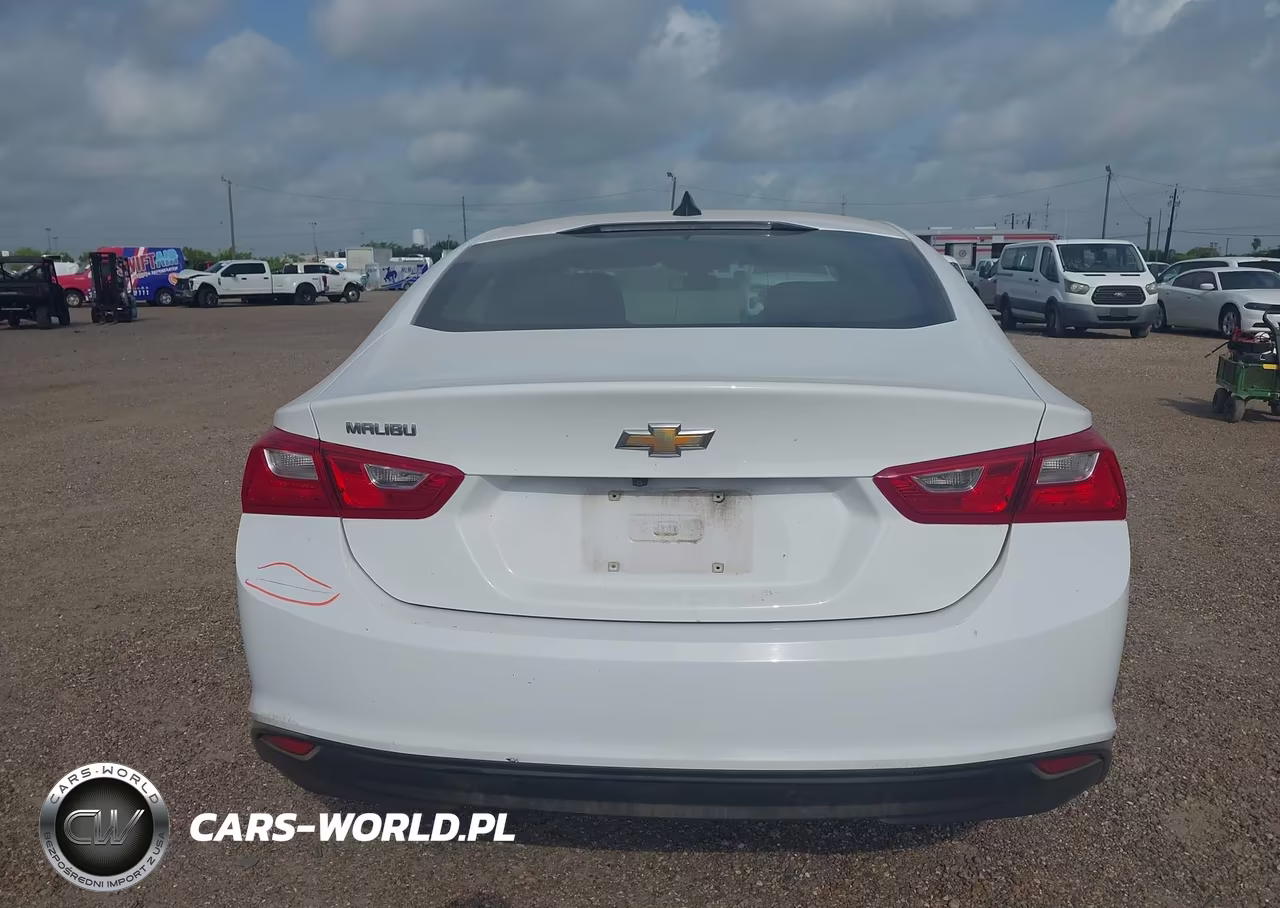 2020 Chevrolet Malibu Fwd 1Fl VIN:1G1ZC5STXLF036839 - 18