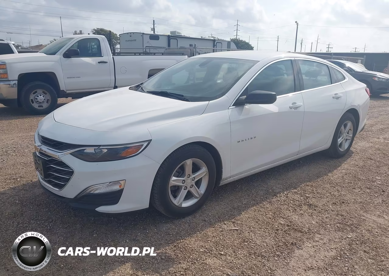2020 Chevrolet Malibu Fwd 1Fl VIN:1G1ZC5STXLF036839 - 2