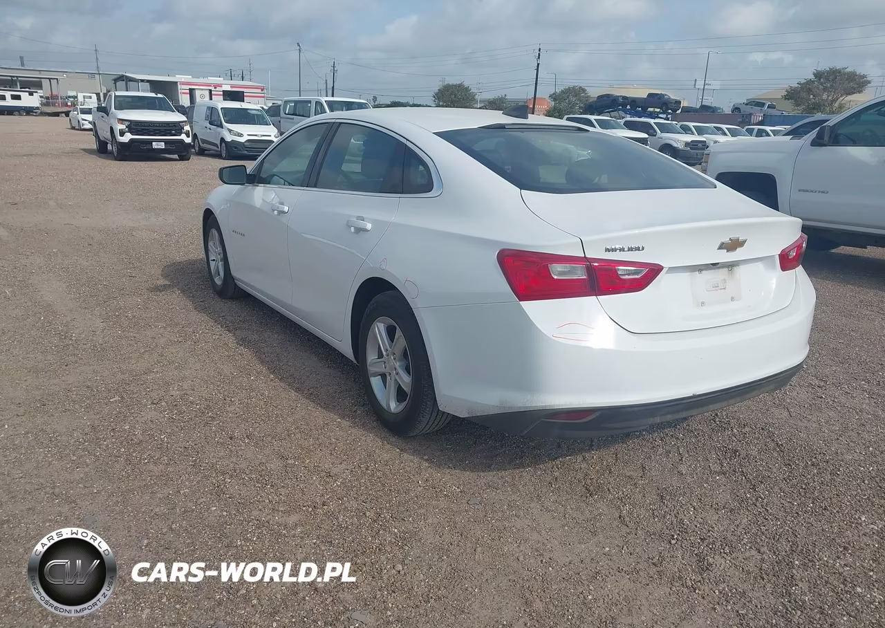 2020 Chevrolet Malibu Fwd 1Fl VIN:1G1ZC5STXLF036839 - 3