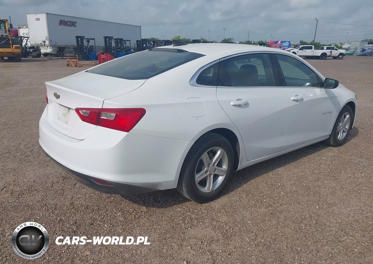 2020 Chevrolet Malibu Fwd 1Fl VIN:1G1ZC5STXLF036839 - 4