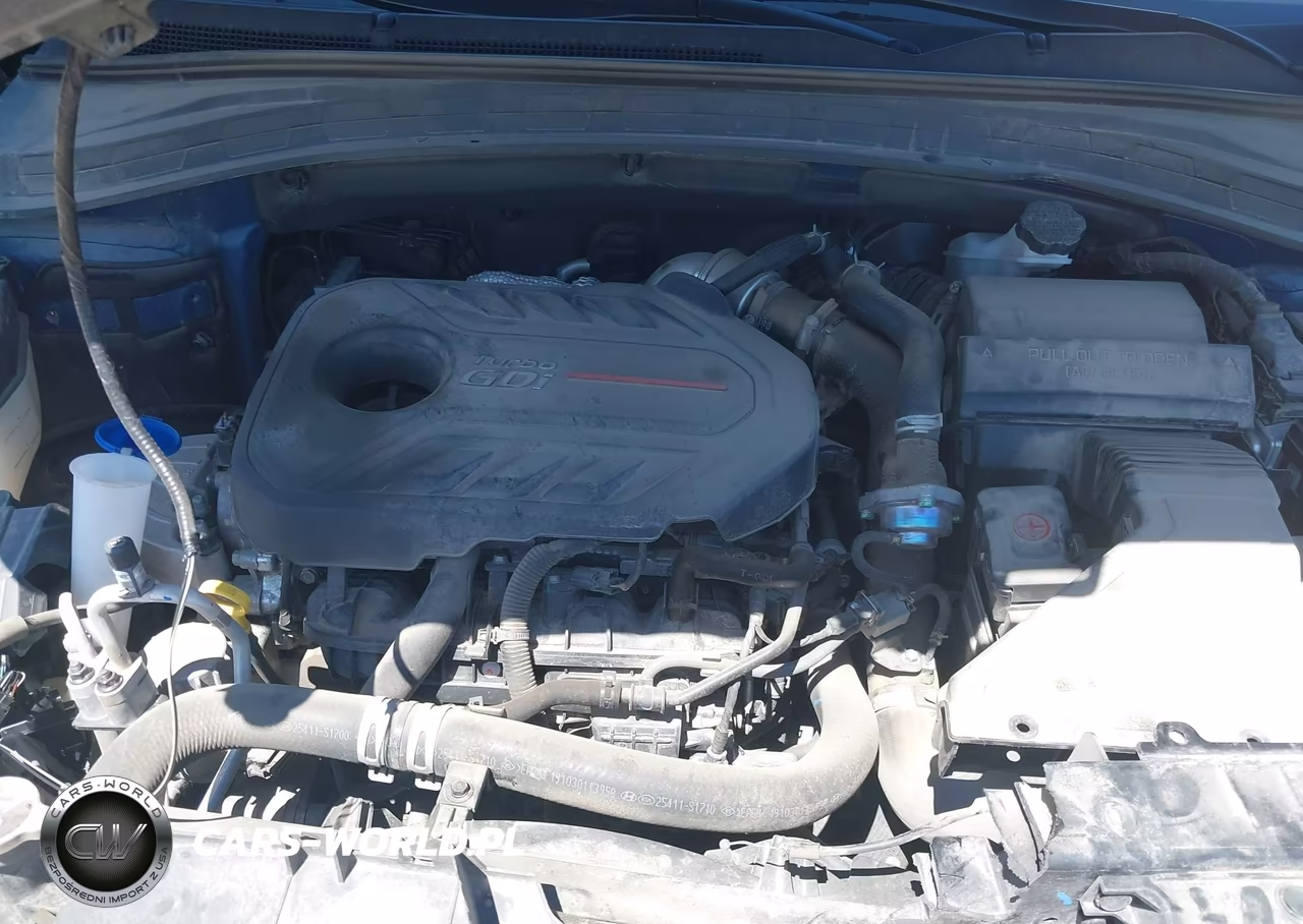 2020 Hyundai Santa Fe Limited 2.0T VIN:5NMS5CAA6LH227068 - 10
