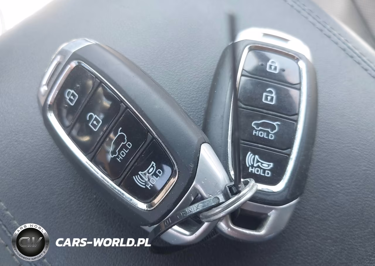 2020 Hyundai Santa Fe Limited 2.0T VIN:5NMS5CAA6LH227068 - 11