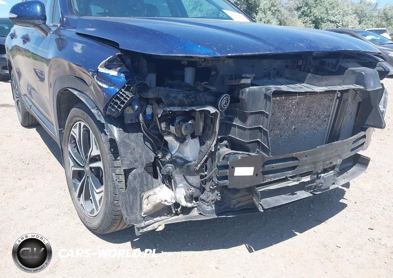 2020 Hyundai Santa Fe Limited 2.0T VIN:5NMS5CAA6LH227068 - 6