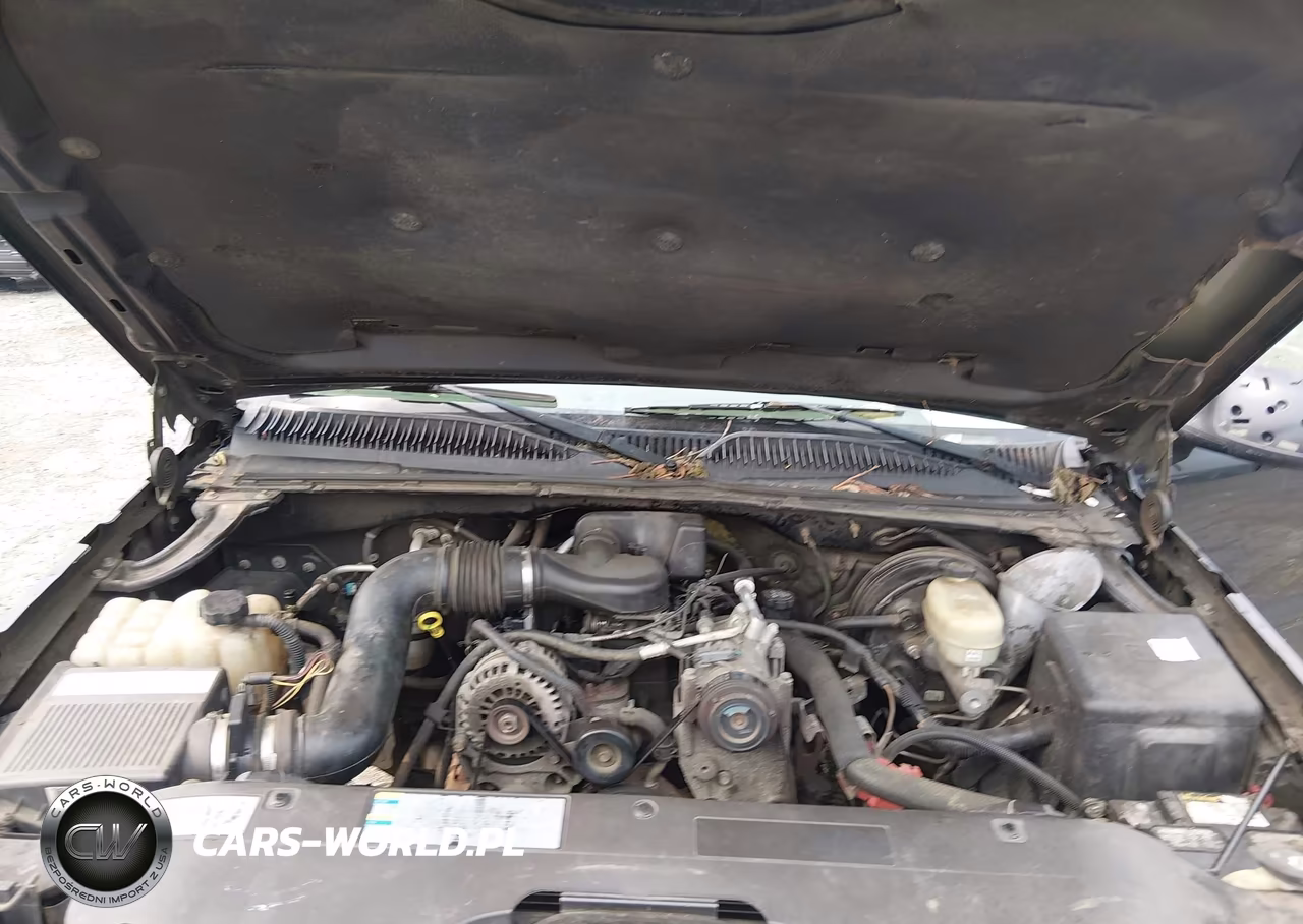 2005 Chevrolet Silverado 1500 Work Truck VIN:1GCEC14X25Z211231 - 10