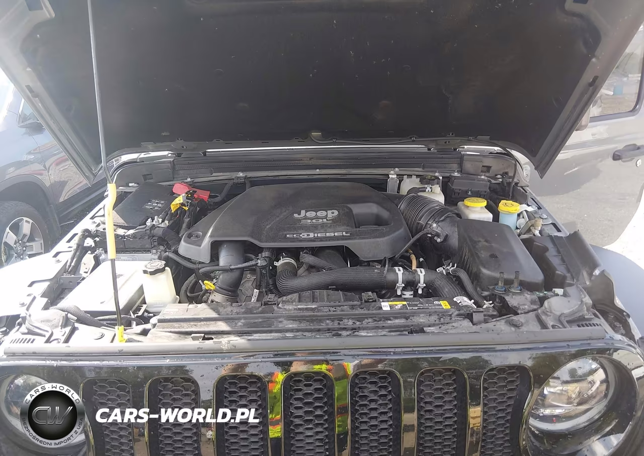 2023 Jeep Wrangler 4-Door Willys 4X4 VIN:1C4HJXDM7PW534416 - 10
