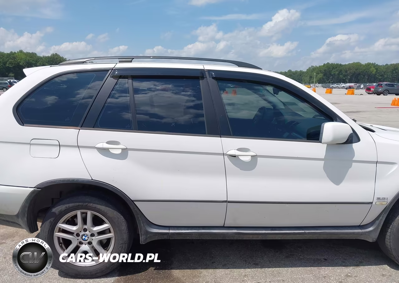 2005 BMW X5 3.0I VIN:5UXFA13545LY21191 - 13