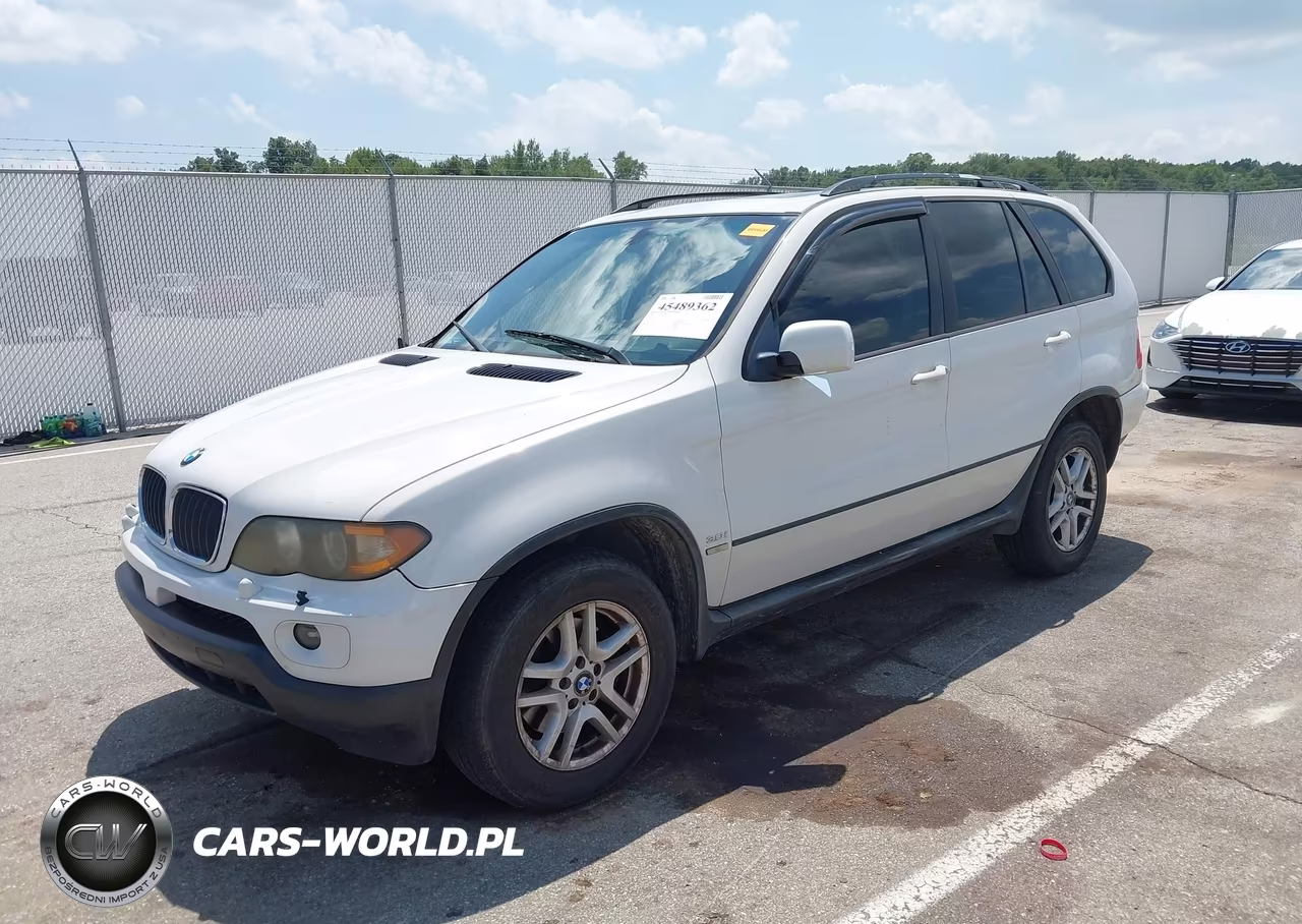 2005 BMW X5 3.0I VIN:5UXFA13545LY21191 - 2