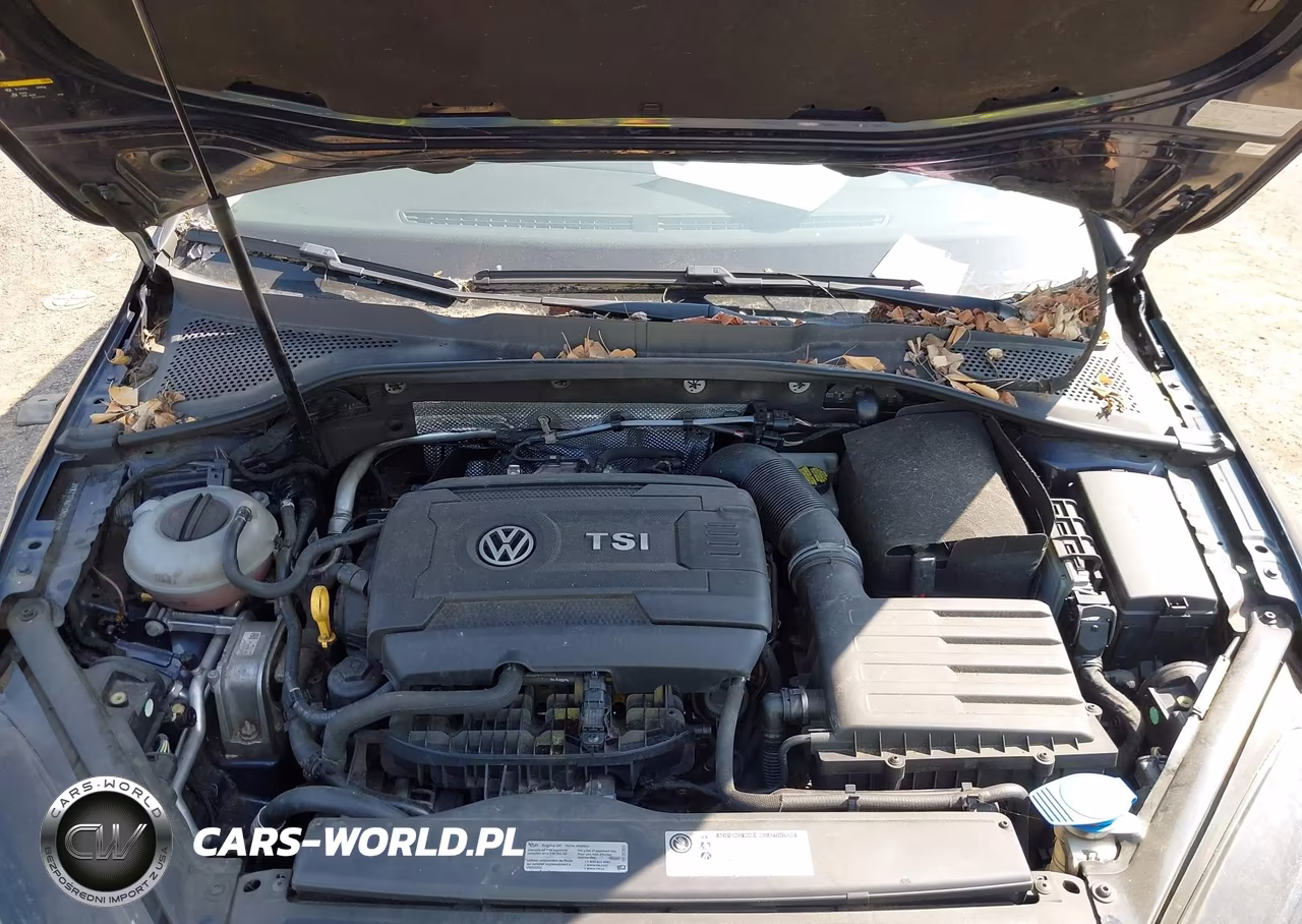 2016 Volkswagen Golf Tsi Se 4-Door VIN:3VW217AU7GM041035 - 10