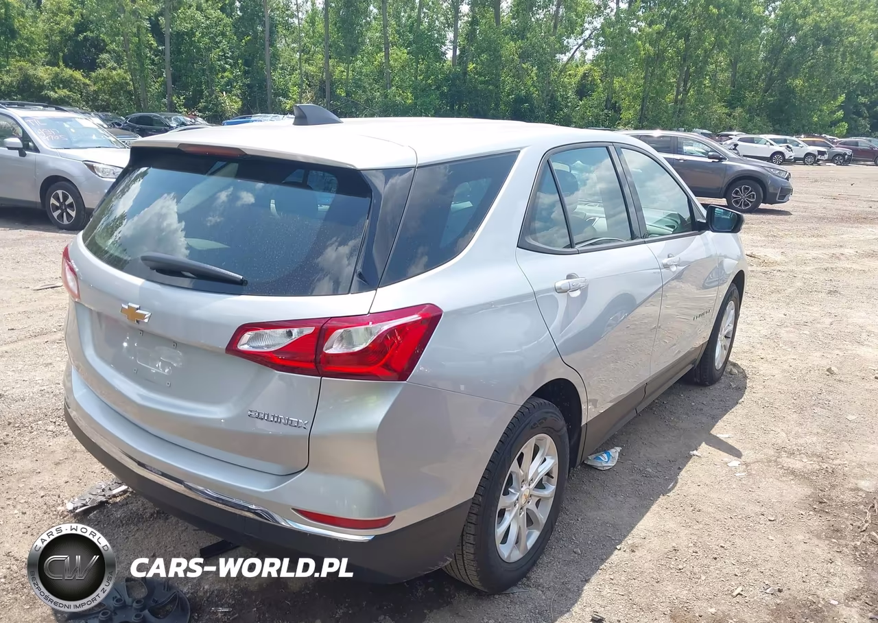 2018 Chevrolet Equinox Ls VIN:2GNAXHEV9J6348933 - 4