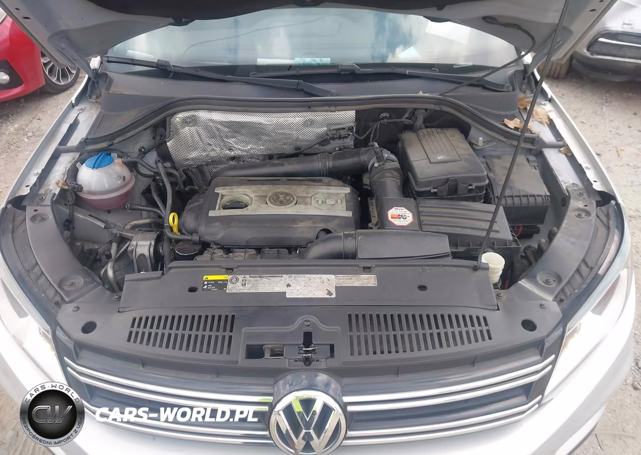 2015 Volkswagen Tiguan S VIN:WVGAV7AX2FW559979 - 10