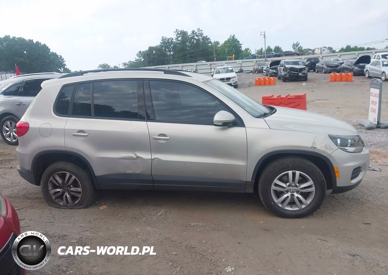 2015 Volkswagen Tiguan S VIN:WVGAV7AX2FW559979 - 13