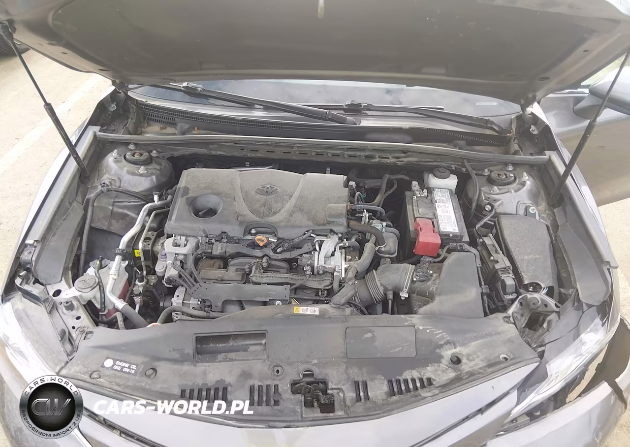 2020 Toyota Camry Le VIN:4T1C11AKXLU937835 - 10