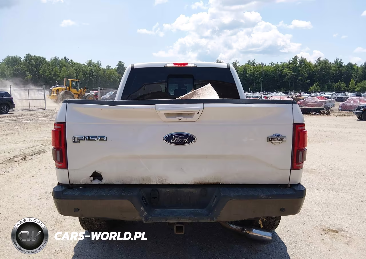 2016 Ford F-150 King Ranch-Lariat-Limited-Platinum-Xl-Xlt VIN:1FTEW1EG3GFD14510 - 17