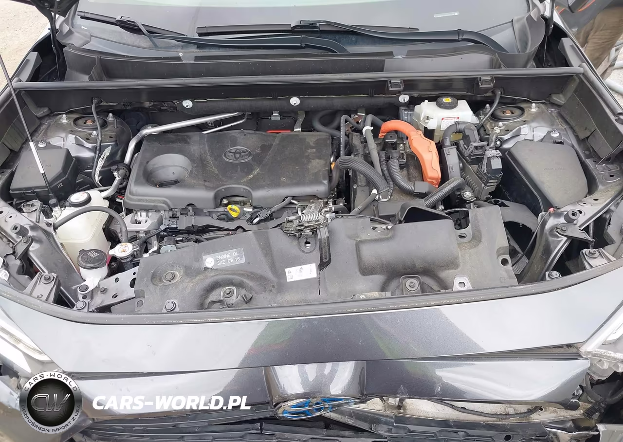 2019 Toyota Rav4 Hybrid Xle VIN:JTMRWRFV2KD015639 - 10