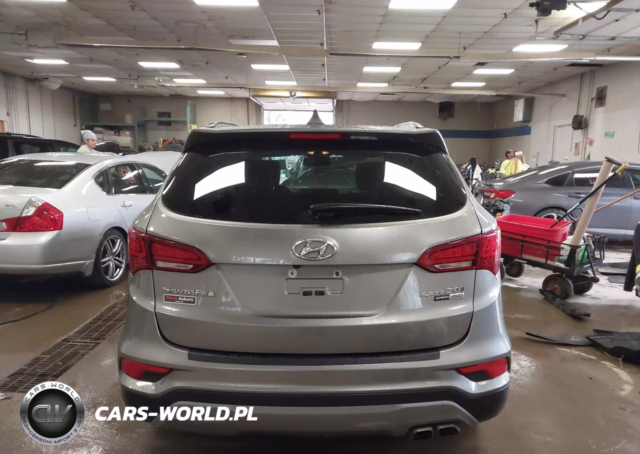 2017 Hyundai Santa Fe Sport 2.0T Ultimate VIN:5XYZWDLA2HG437831 - 16