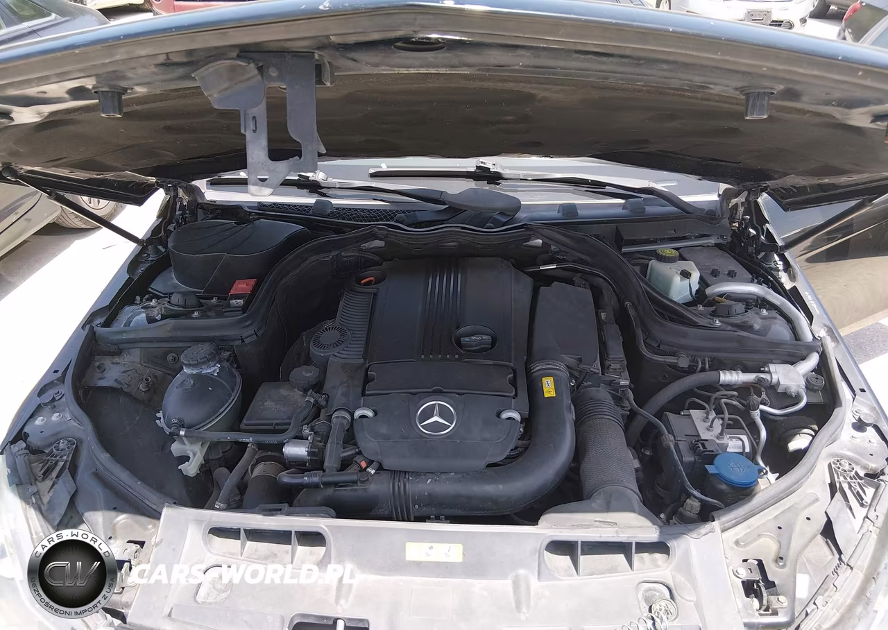 2012 Mercedes-Benz C 250 VIN:WDDGJ4HB5CF847483 - 10