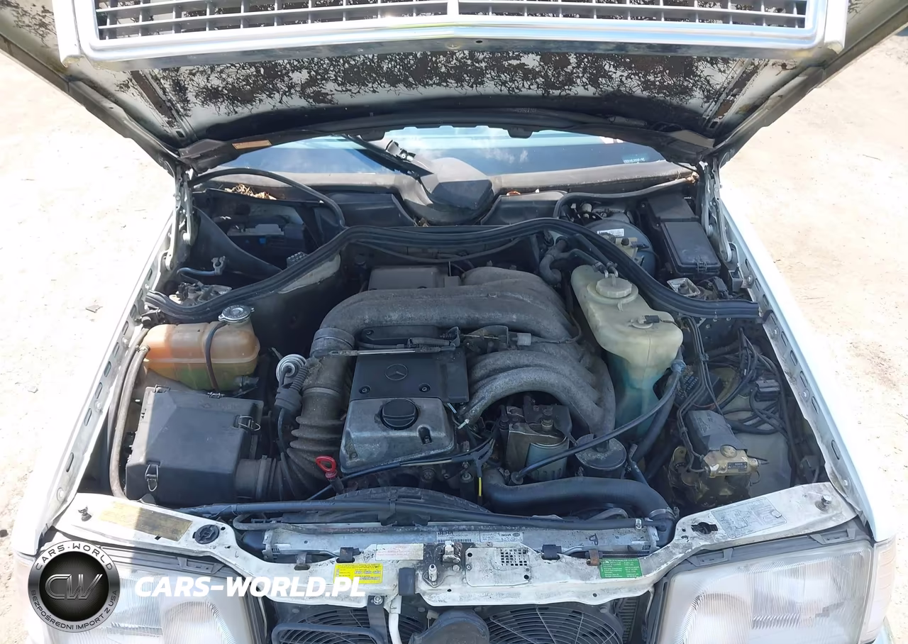 1995 Mercedes-Benz E 300D-300D Special VIN:WDBEB31E9SC060533 - 10