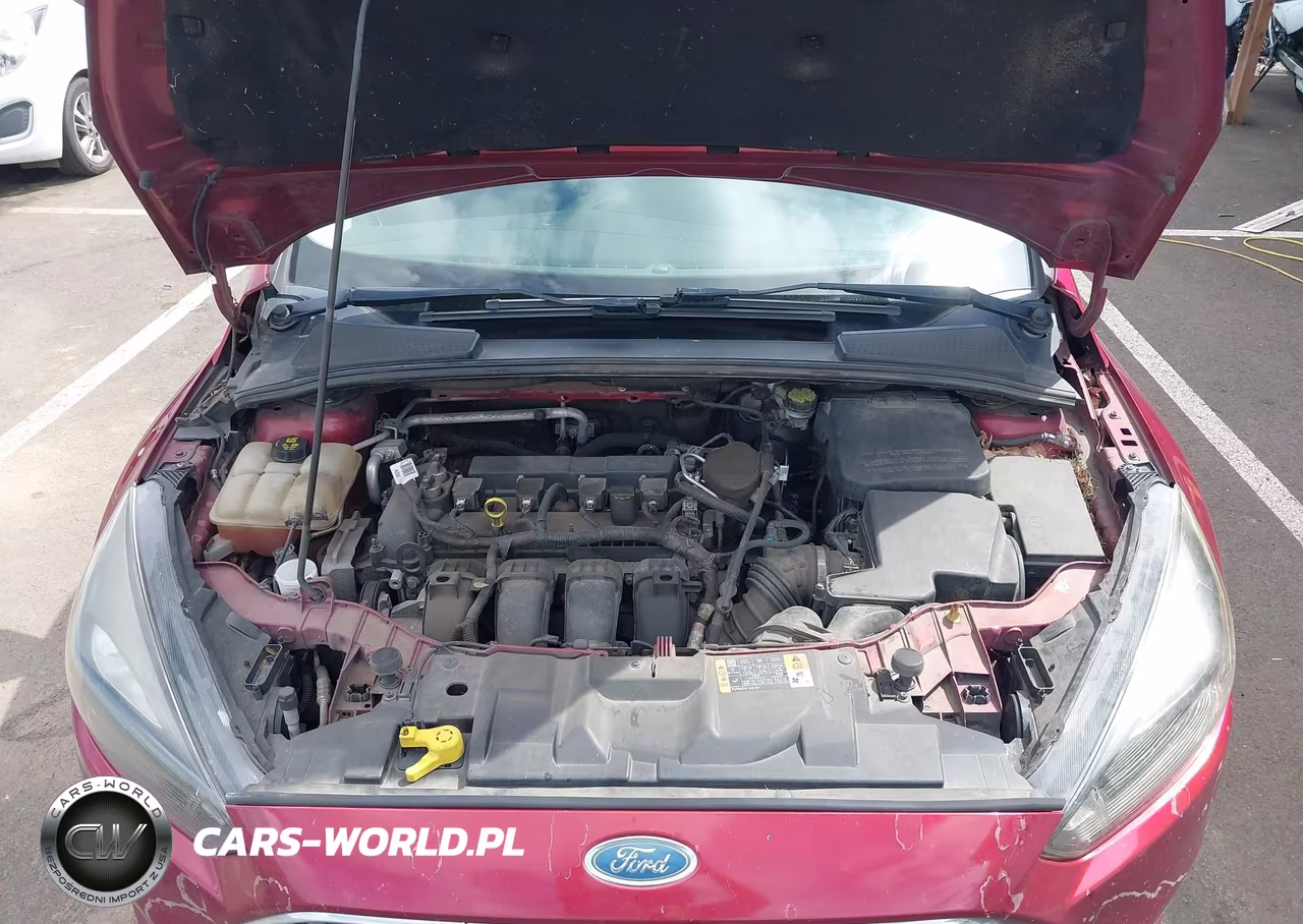 2015 Ford Focus Titanium VIN:1FADP3N26FL315293 - 10