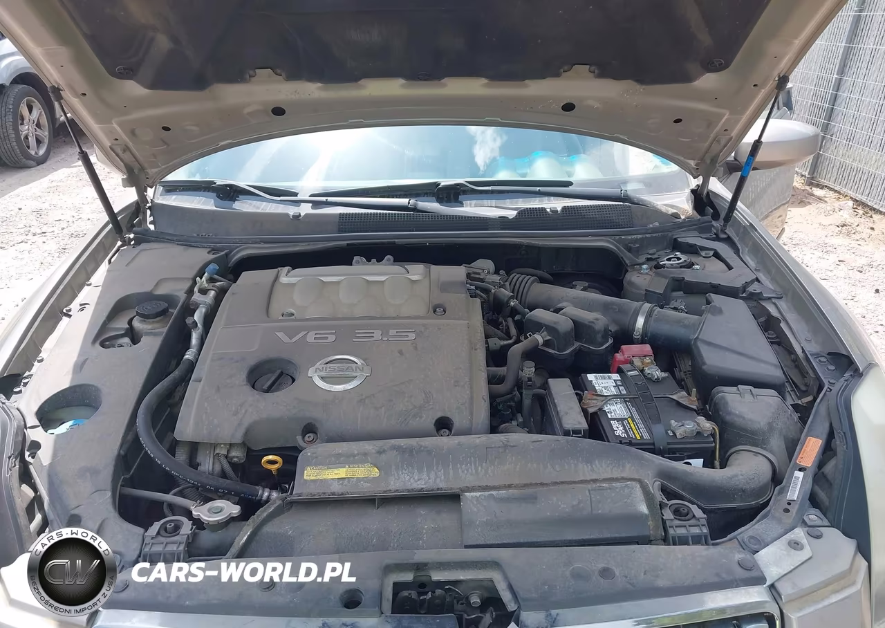 2004 Nissan Maxima 3.5 Sl VIN:1N4BA41E84C901456 - 10