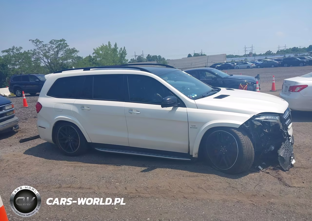 2018 Mercedes-Benz Amg Gls 63 4Matic VIN:4JGDF7FE0JB100869 - 13