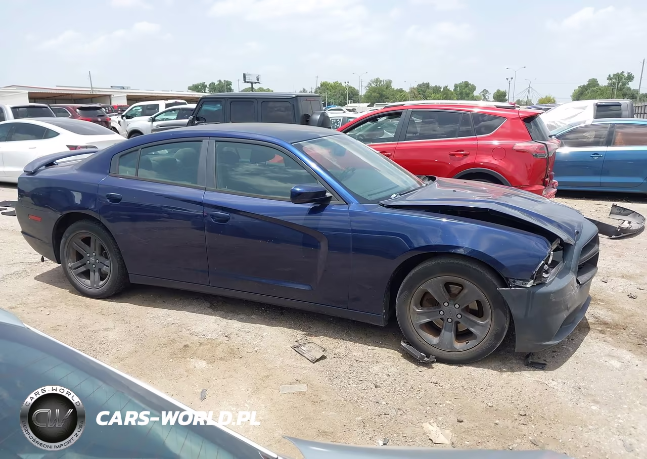 2013 Dodge Charger Sxt VIN:2C3CDXHG1DH563611 - 13