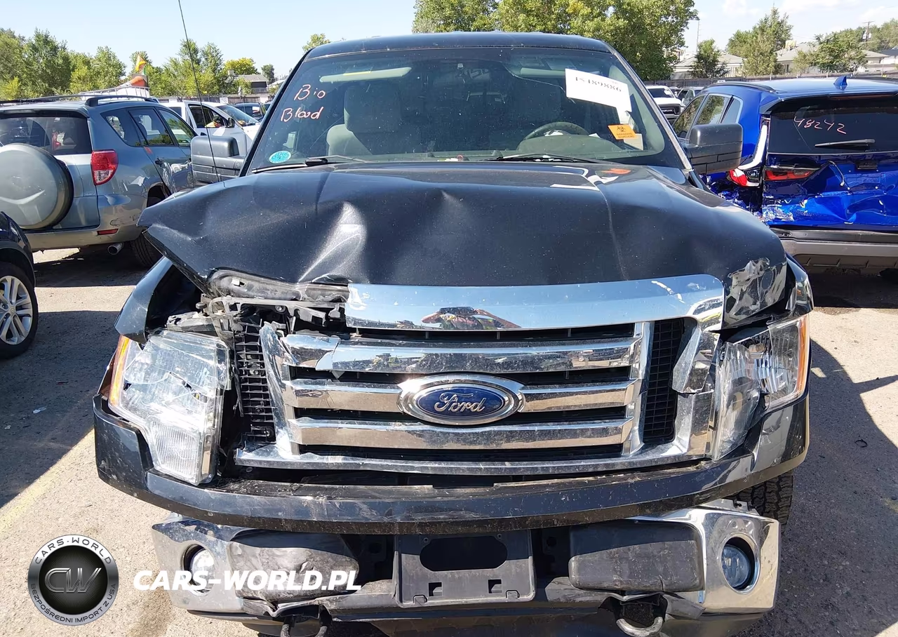 2012 Ford F-150 Xlt VIN:1FTFX1EF9CFD07015 - 12