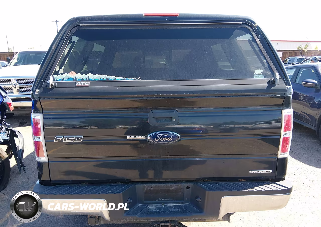 2012 Ford F-150 Xlt VIN:1FTFX1EF9CFD07015 - 16